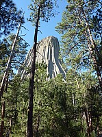 Devil tower (53).JPG